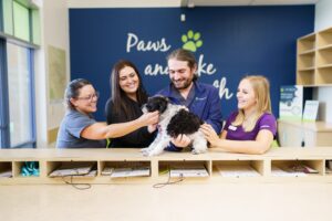 four vet techs stand at reception desk with black and white dog