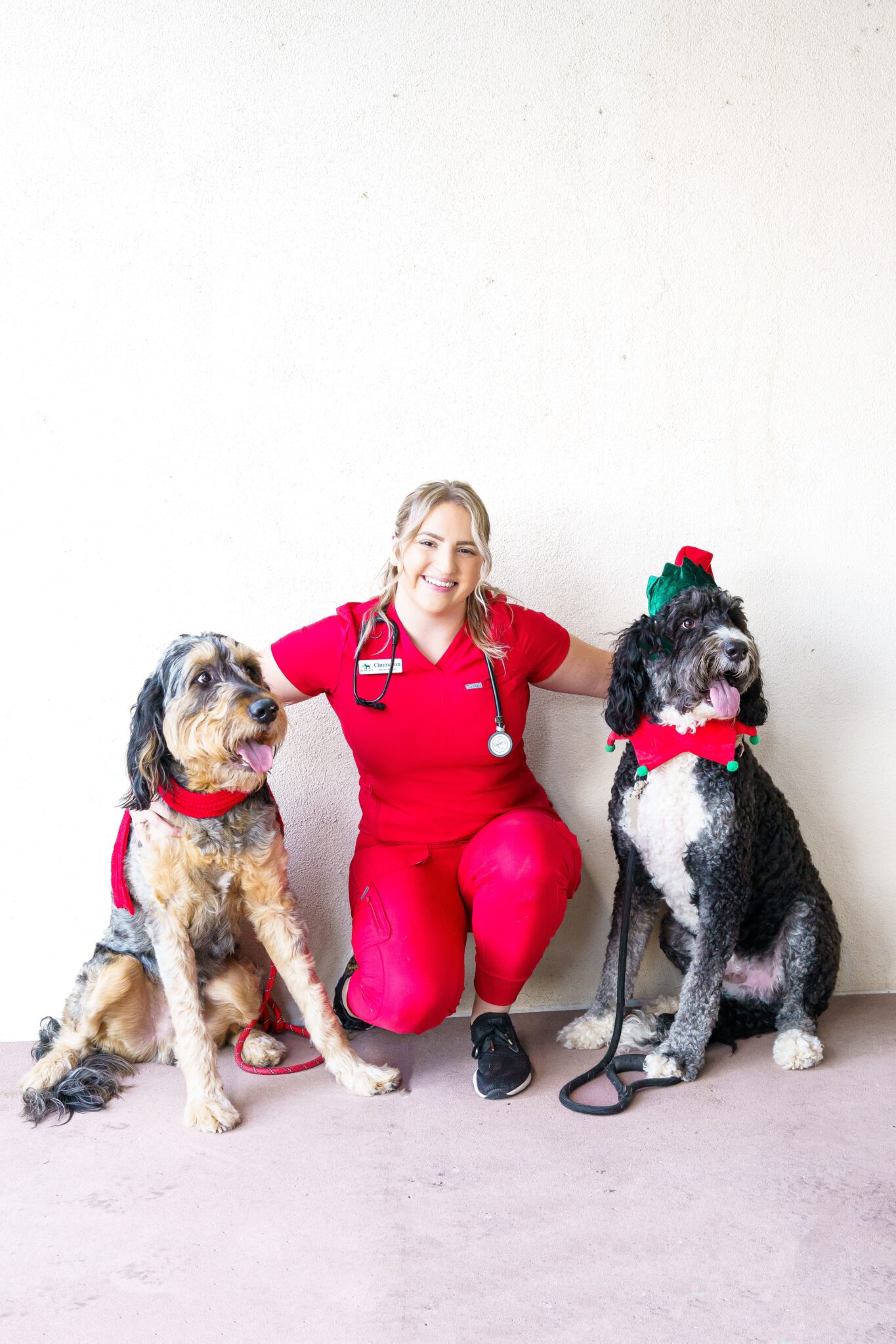 Vet tech in red scrubs posing beside who dogs dressed in Holiday attire