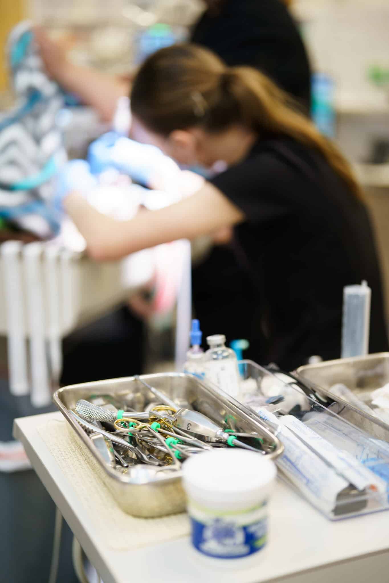 Vet tech at Dr. Kelly's Surgical Unit performing procedure behind a tray of surgical tools